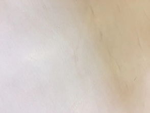 一塊革命性皮料的誕生 皮塑的完美伴侶